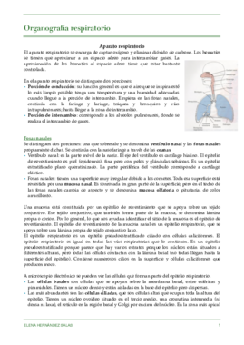 Organo respiratorio.pdf