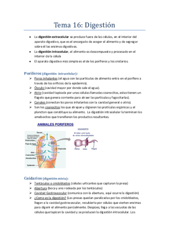 Tema-16-Biologia.pdf