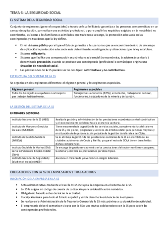 TEMA-6-FOL.pdf