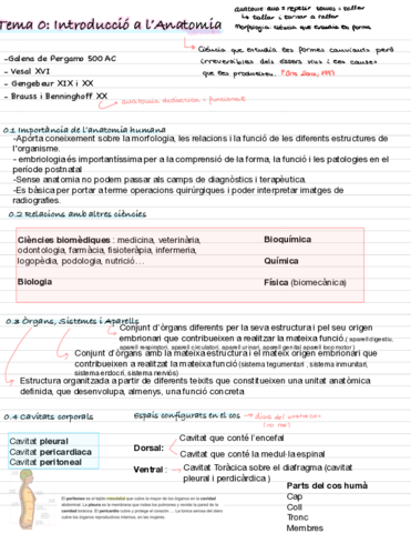 Apuntes-Embriologia.pdf