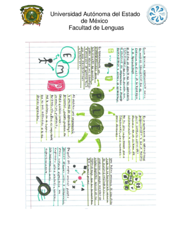 Mapa-Mental-PLE-w.pdf