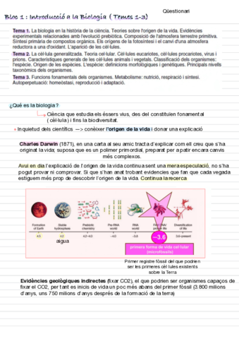 Apuntes-Primer-Parcial-.pdf