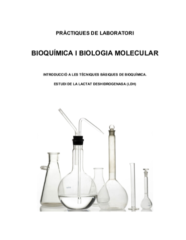 Practicas-I-Quest.pdf