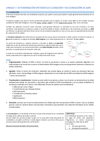 UNIDAD-7.pdf