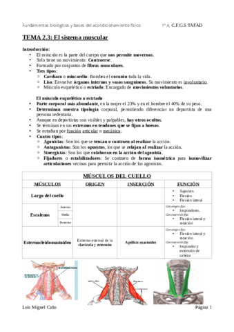 Tema-2.pdf