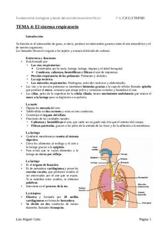 Tema-4-El-sistema-respiratorio.pdf