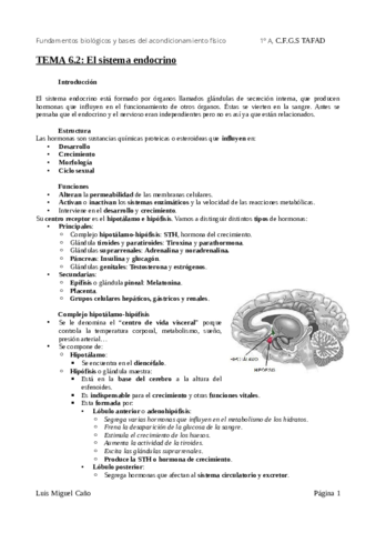 Tema-6.pdf