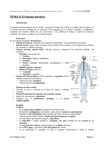 Tema-6-El-sistema-nervioso.pdf