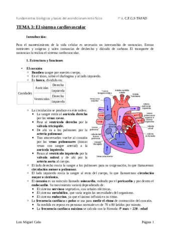 Tema-3-El-sistema-cardiovascular.pdf