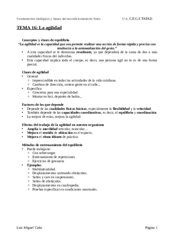 Tema-16-La-agilidad.pdf
