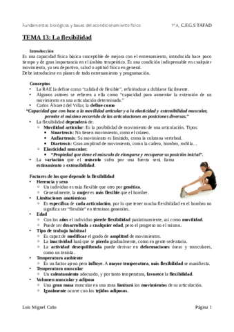 Tema-13-La-flexibilidad.pdf