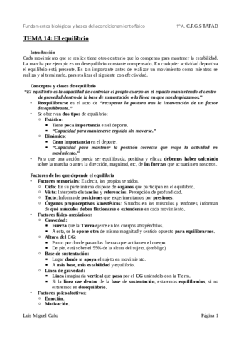 Tema-14-El-equilibrio.pdf