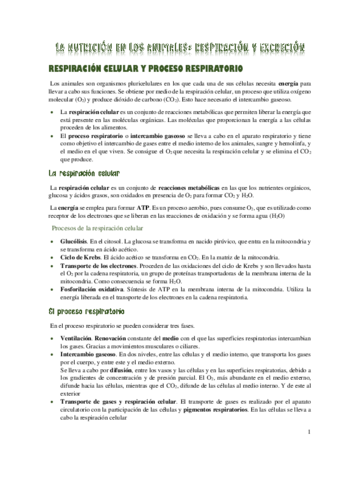 Respiracion-y-excrecion-de-los-animales.pdf