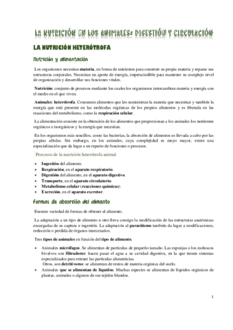 Digestion-y-circulacion-de-los-animales.pdf