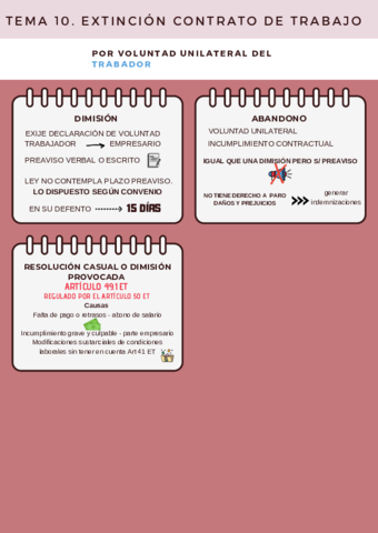 ESQUEMA-TEMA-10-.pdf