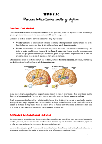 TEMA-2.pdf