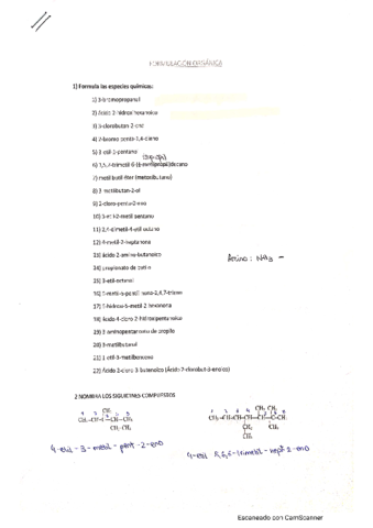 Formulacion-organica-final.pdf