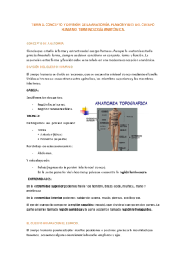 TEMA 1.pdf