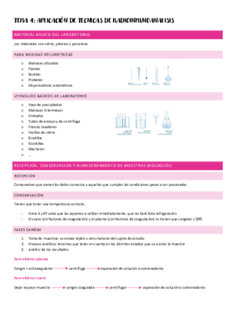 TEMA-4-RESUMEN.pdf