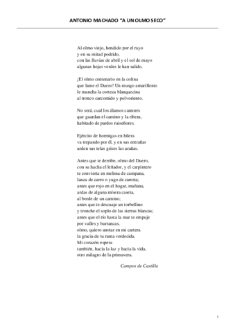 Comentario-Machado.pdf