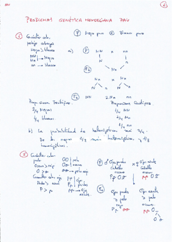 Solucion-Genetica-Mendeliana-PAU-2001-15.pdf