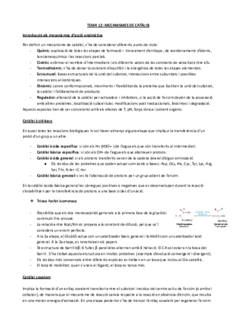TEMA-12-MECANISMES-DE-CATALISI.pdf