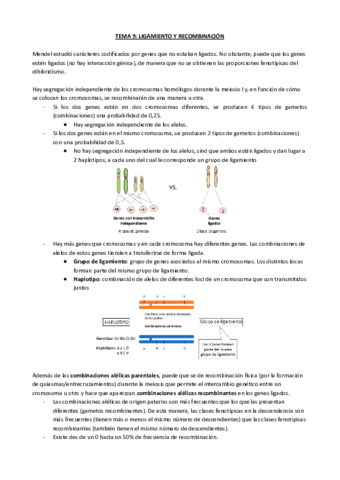TEMA-9-LIGAMIENTO-Y-RECOMBINACION.pdf