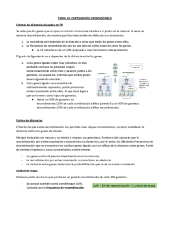 TEMA-10-CARTOGRAFIA.pdf
