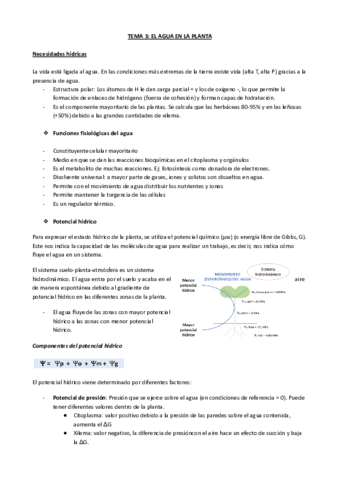 TEMA-3-EL-AGUA-EN-LA-PLANTA.pdf