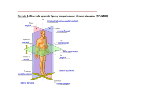 Soluciones-actividades.pdf