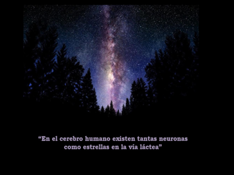 EL-SISTEMA-NERVIOSO.pdf