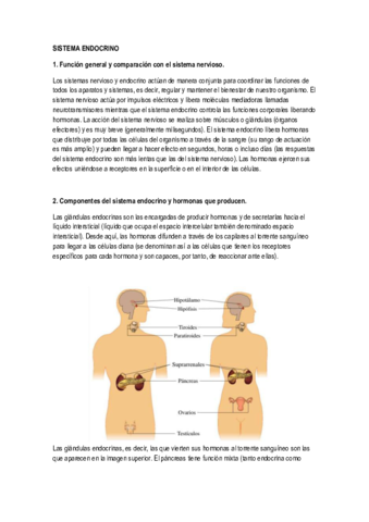 SISTEMA-ENDOCRINO.pdf