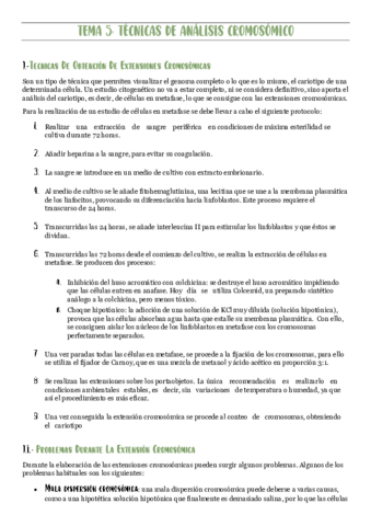 TEMA-5-BMC.pdf