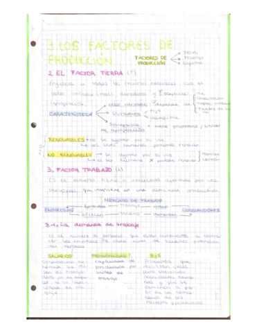 T3.pdf