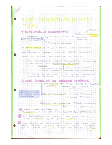 T4-Las-Economias-Domestcicas.pdf
