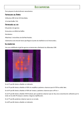 Electroforesis.pdf
