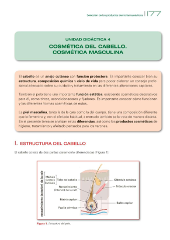 DPP-T13-Cabello.pdf