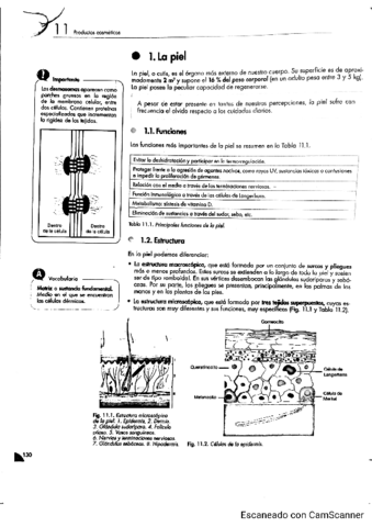 DPP-tema-11-1.pdf