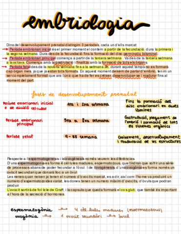 T-9-Embriologia.pdf