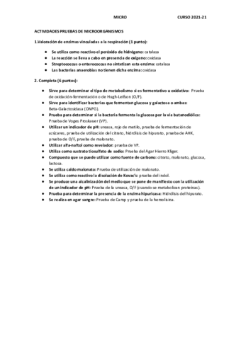 ACTIVIDADES-PRUEBAS-DE-MICROORGANISMOS.pdf