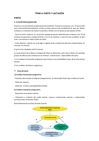 TEMA-4.pdf