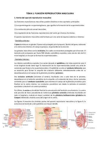 TEMA-1.pdf