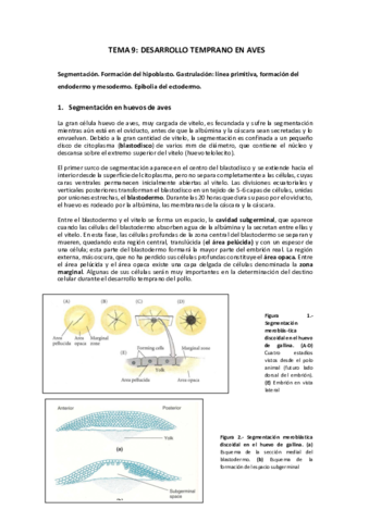 TEMA-9.pdf