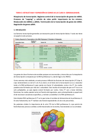 TEMA-3.pdf