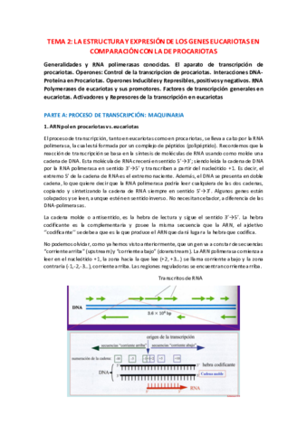 TEMA-2.pdf