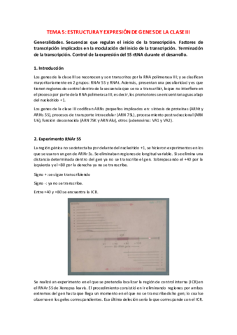 TEMA-5.pdf