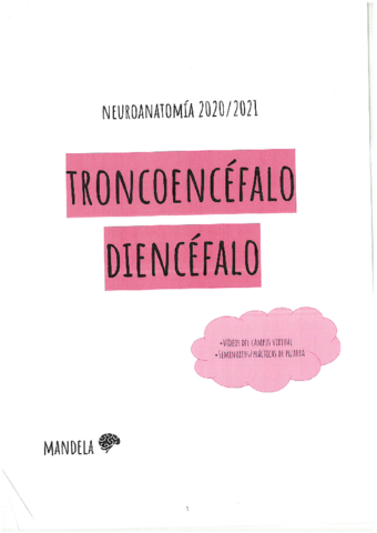 TRONCOENCEFALO-DIENCEFALO.pdf