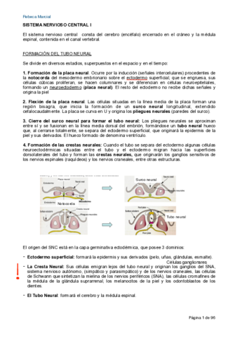 Apuntes-Organo-I.pdf