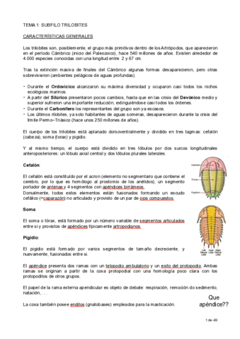 Zoologia-II-todo-pdf.pdf