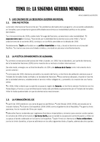 TEMA-11.pdf